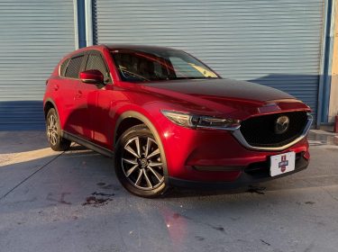 imgi_11_imagem-19-scaled-1