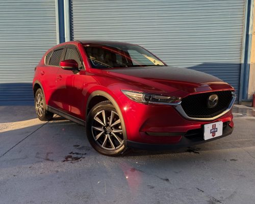 imgi_11_imagem-19-scaled-1