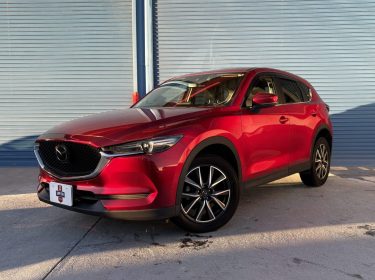 imgi_13_imagem-2-scaled-2