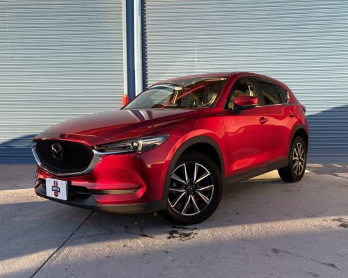 imgi_13_imagem-2-scaled-2