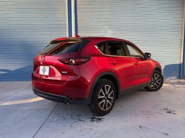 imgi_14_imagem-3-scaled-1