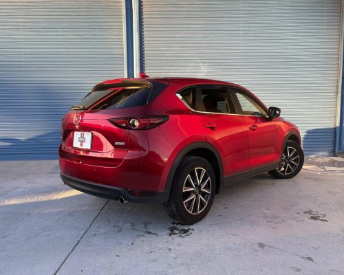 imgi_14_imagem-3-scaled-1