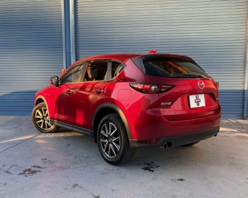 imgi_16_imagem-5-scaled-1