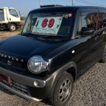 617475723_18145452178459444_1017131506553550244_n