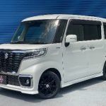 imgi_11_SSSSSS-8-scaled-1