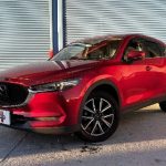 imgi_13_imagem-2-scaled-1