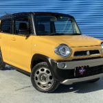 imgi_11_ＳＳ-2-scaled-1