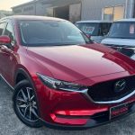 546625122_777954914993455_1816919593841162685_n