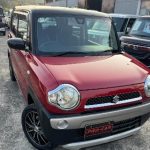 548320943_781193388002941_8355690769306786748_n