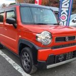 494005845_1091266126353723_8577498865584889836_n