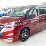 529306962_24169922946002104_8066629720236138904_n