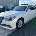 549263031_1367756451865993_1925147166758870390_n