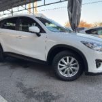 482223768_1156378436498689_540614684891094128_n