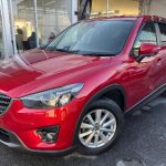 489145919_1461503798620557_4195061491427206352_n