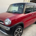 568482395_1302646654996013_8080674477714476131_n